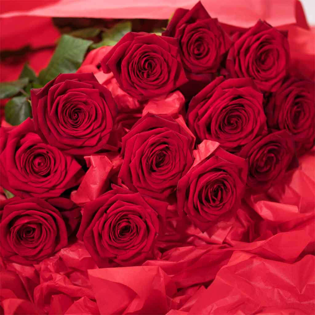 Long Stemmed Red Roses - Pulbrook & Gould Flowers London